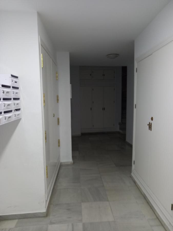 加的斯Calle Ancha公寓 外观 照片